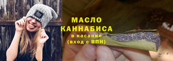 молекула духа Новозыбков