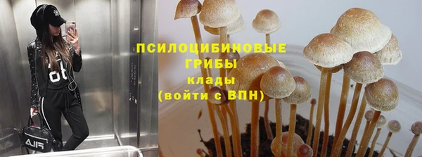гашиш Новокубанск