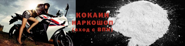 молекула духа Новозыбков