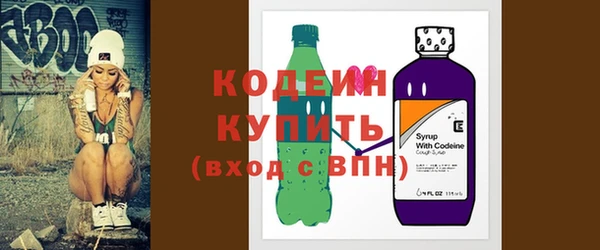 молекула духа Новозыбков