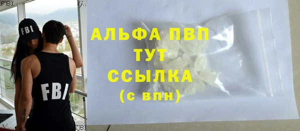 молекула духа Новозыбков