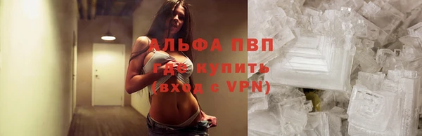 молекула духа Новозыбков
