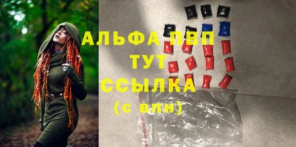 молекула духа Новозыбков