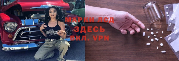 молекула духа Новозыбков