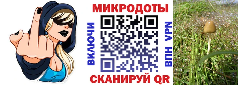 MEGA рабочий сайт  Новоульяновск  Псилоцибиновые грибы GOLDEN TEACHER 